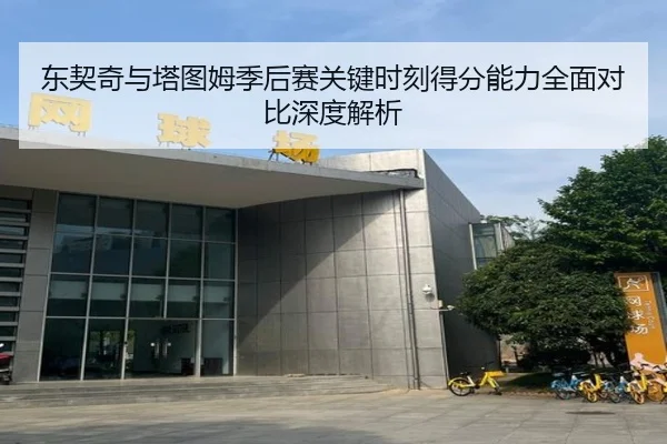 东契奇与塔图姆季后赛关键时刻得分能力全面对比深度解析